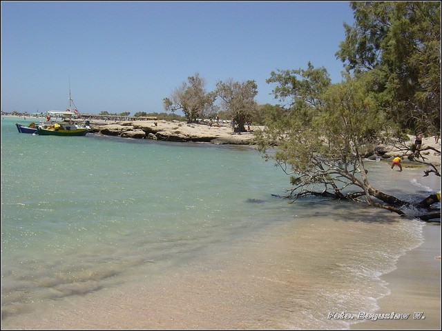 Elafonisi - plaża o różowym piasku 04