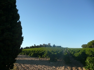 Châteauneuf-du-Pape - winnica w całej okazałości