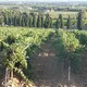 Châteauneuf-du-Pape - rzut oka na okolicę