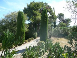 St-Remy-de-Provence - uliczkami miasta 9