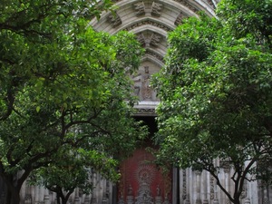 patio de los naranjos  