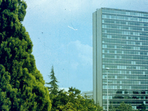 Rzym (Roma)