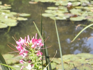 Francja, Giverny