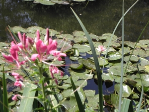 Francja, Giverny