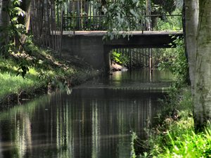 Oliwa -w parku -sierpień 2011