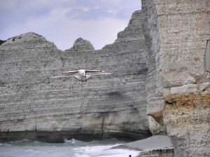 Francja, Etretat