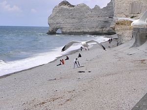 Francja, Etretat