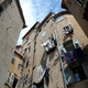 Francja 2011 grasse 62