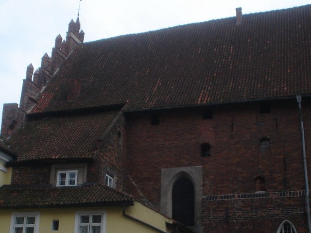 Dsc06559  800x600 