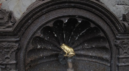 woda ze złotą żabą