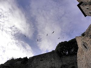 Francja,  Le Mont-Saint-Michel