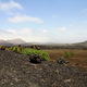 Parque Natural de los Volcanes - zawracamy
