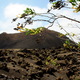 Parque Natural de los Volcanes - koniec trekkingu