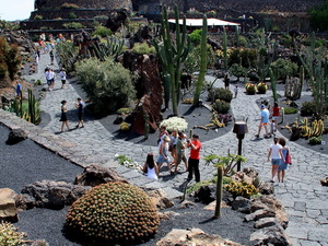 Jardin de Cactus 