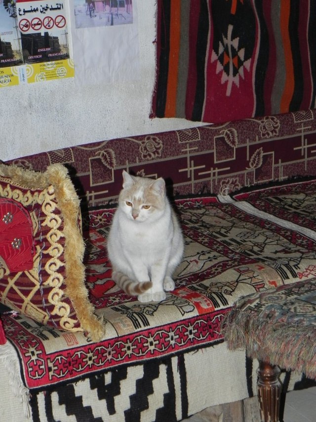 Bagdad Cafe