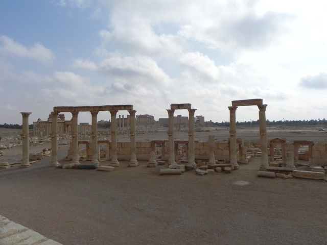 Palmyra