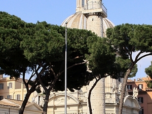 Img 3883 2