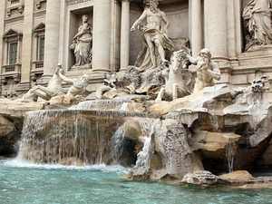 Img 4554