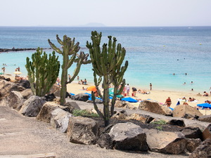 Playa Blanca -kaktusy stąpają mocniej