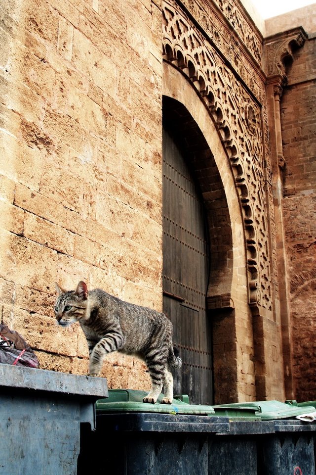 Rabat, Maroko