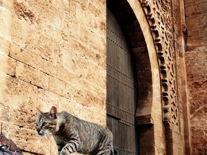 Rabat, Maroko