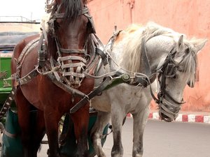 Marrakesz, Maroko