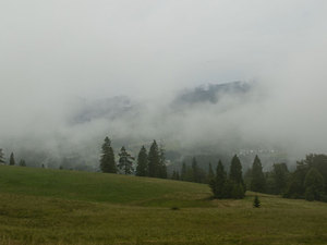 Mgła