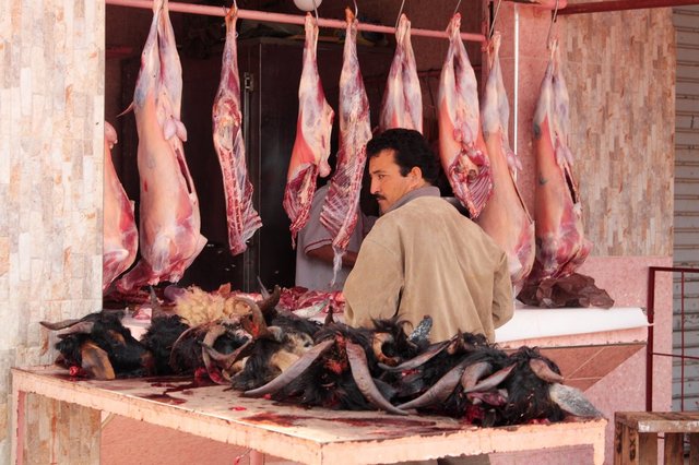 sklep mięsny - Tamri, Maroko