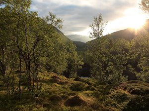 okolice Troms Border Trail - Norwegia