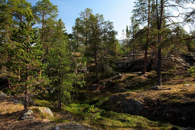 Troms Border Trail - Norwegia