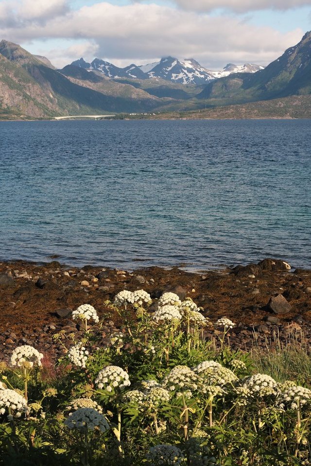 Lofoty, Norwegia