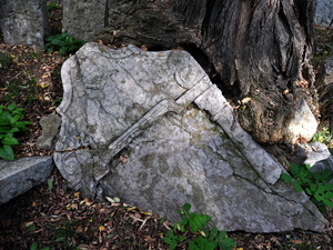 Stary Cmentarz Żydowski