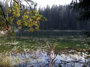 Jezioro Zminje