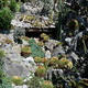 Jardin Exotique