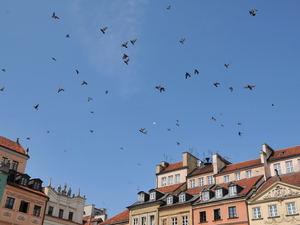 Stary Rynek