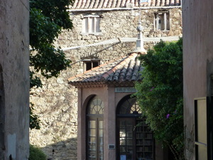 biblioteka w calvi