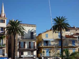 calvi