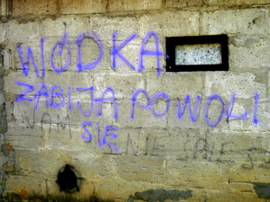 Graffiti - Narew