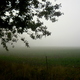 Jesienna mgła - okolice Lubawy