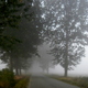 Jesienna mgła - okolice Lubawy