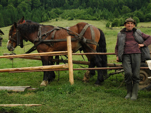 Spotkanie z pasterzami. Wąwóz Bikaz, Transylwania