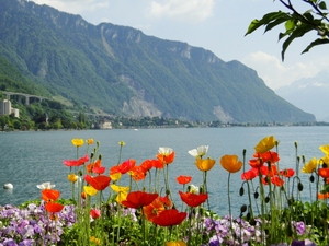 Jezioro Genewskie