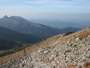 zielonym w dół
