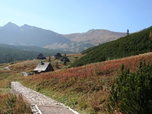 Dolina Gąsienicowa