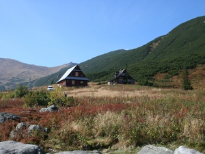 Dolina Gąsienicowa