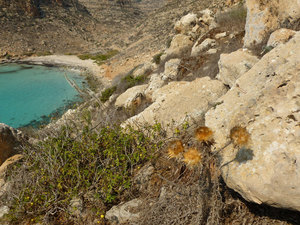 w dole plaża Cala Pulcino