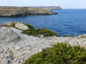 Cala Pisana i za nią Capo Grecale