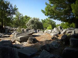 Priene