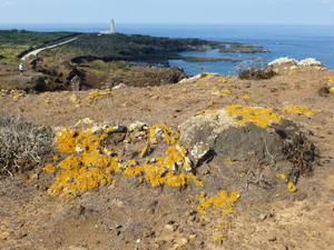 wybrzeże