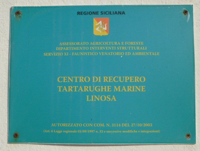 Centrum leczenia morskich żółwi na Linozie